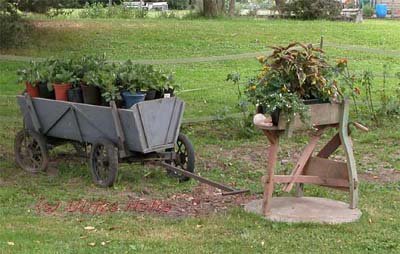dahlienbollerwagen_flachsbr.jpg (41.52 KiB) 19029 mal betrachtet Im Bollerwagen steht etwa die Hälfte der Pflanzen. Ich will sie nach Farben und Wuchshöhe selektieren, bevor sie im kommenden Jahr in die Rabatten integriert werden