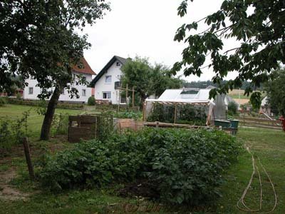 über die Kartoffeln zum Tomatenbeet. Dazwischen noch ein noch nicht bepflanztes Hochbeet. Darin werden Grassoden gesammelt, die beim Anlegen der Blumenbeete anfallen. Mit einem ollen Teppich abgedeckt, sind diese im kommenden Frühjahr zu bester Erde kompostiert.