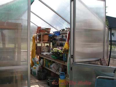 gewaechshaus.jpg (33.82 KiB) 19028 mal betrachtet die "Zentrale" des Gartens, mit allem was man so braucht. Die linke Seite ist für die Überwinterung der Kübelpflanzen und für die Anzucht reserviert