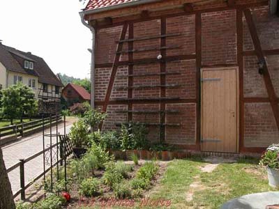 Blick zum Anbau mit der Kletterwand für Ghislaine de Féligonde, einer wurzelechten, alten Rose mit sehr kleinen Blüten die verführerisch duften. Davor der kleine Kräutergarten. auch noch unfertig. Hier kommt anstelle des flachen Beetes ein Etagenbeet hin.