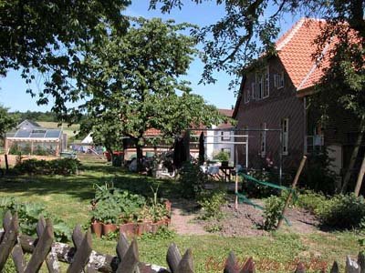 Auf dem ehemaligen Hühnerauslauf stehen jetzt die Beeren, inkl. einem großen Erdbeerfeld, ebenfalls mit alten Sorten bestückt. Das kleine Rhabarberfeld hat schon sehr schwere Zeiten durchmachen müssen. Direkt da drauf stand der Container für die Altziegeln. Ich wundere mich immer noch, dass dieser gebeutelte Rhabarber eine derart gute Ernte bringt, dass ich regelmäßig davon abgeben muss. Am Gartenzaun (nicht sichtbar) wieder ein Randbeet, u.a. mit Dahlien bestückt. im Hintergrund der große Wäscheplatz, der auch als Arbeitsplatz für alle möglichen Arbeiten (schleifen, streichen, etc.) herhalten muss. Außerdem kann links davon ein schönes Partyzelt aufgestellt werden, dann dient die Fläche als Grill- und Sitzplatz.