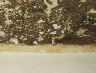 unten: Wand (ganz ordentlich)<br />oben: Decke; <br />am Rand Streifen mit einfachem Anstrich mit Marmor-Kasein-Farbe