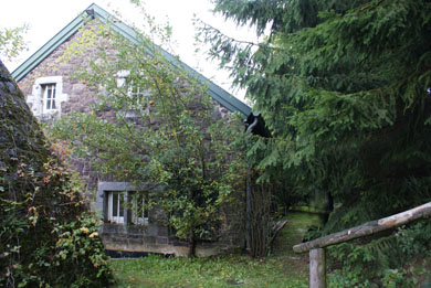 Rückseite