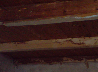 DSC00217b.JPG
